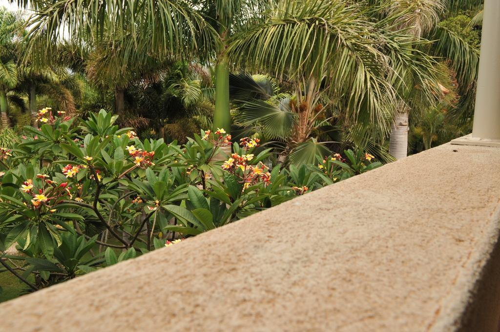 Aloha Aku Inn & Suites Кихей Номер фото